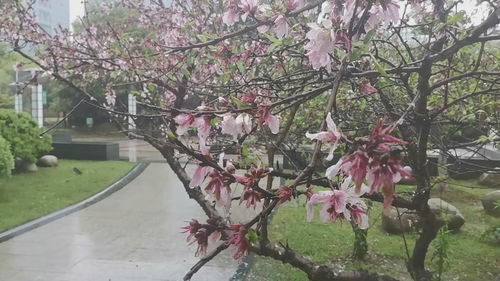 绵绵春雨润万物,绵绵春雨润万物的下联是什么