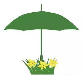 绿伞,绿伞的拼音