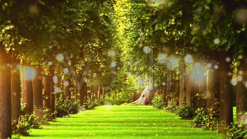 绿叶对根的情意,绿叶对根的情意是什么意思？指什么？