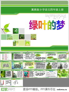 绿叶的梦,绿叶的梦课文原文及解析