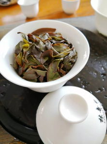 绿叶红镶边,绿叶红镶边是什么茶叶