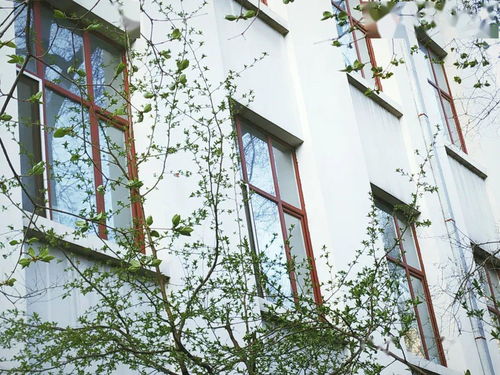 绿树阴浓夏日长全诗,绿树阴浓夏日长出自哪位诗人的哪首诗作？