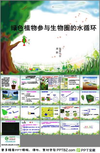 绿色植物与生物圈中的碳氧平衡,绿色植物与生物圈中的碳氧平衡知识
