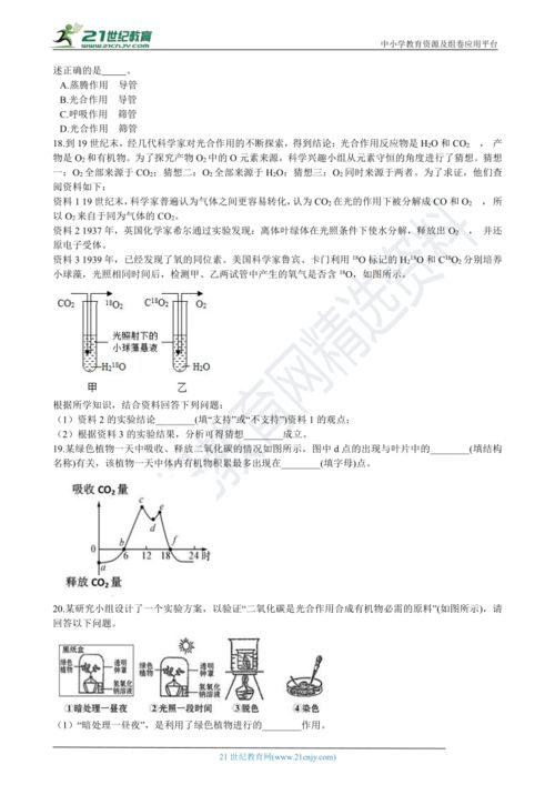 绿色植物的光合作用,绿色植物是如何进行光合作用的？