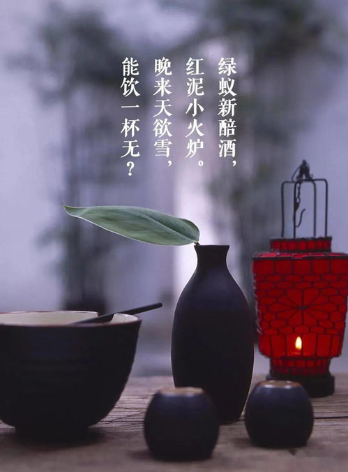 绿蚁新醅酒,绿蚁新醅酒全诗