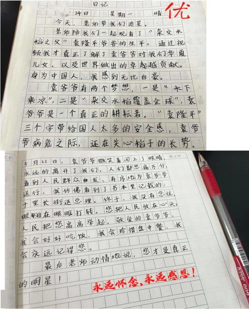 缅怀袁隆平爷爷作文,永远怀念袁隆平作文10篇