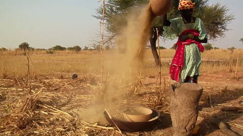 缺水的国家是哪些,世界上严重缺水的国家有哪些