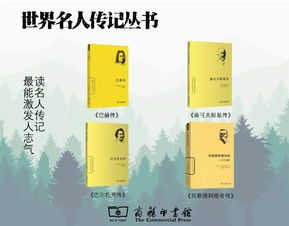 罗伯斯庇尔的墓志铭,关于罗伯斯庇尔的墓志铭