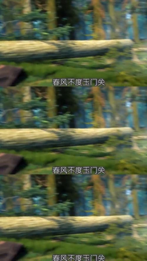 羌笛何须怨杨柳的下一句,羌笛何须怨杨柳的下一句