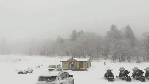 美不胜收的胜的意思,美不胜收的胜是什么意思