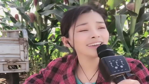 美丽的乡村姑娘,《苔丝》内容提要简介