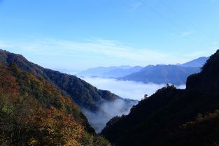 美丽的光雾山,美丽的光雾山作文