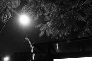 美丽的夜雨,《美丽的夜雨》赏析