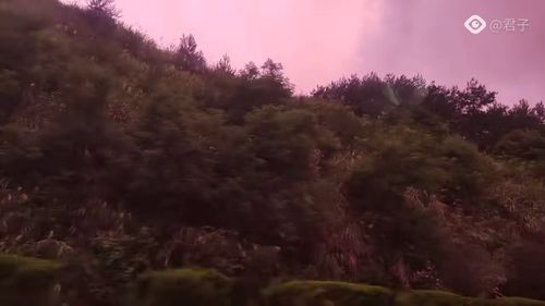 美丽的岳西,美丽的岳西的歌词