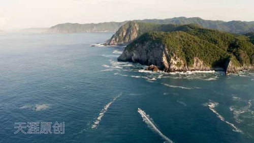 美丽的风景线,美丽风景线什么梗