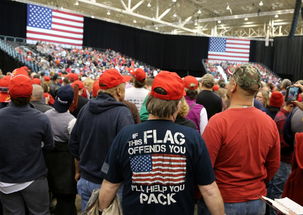 美国两党激烈争夺国会控制权,美国大选?