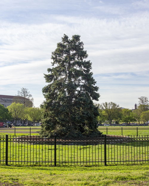 美国国会所在地,国会大厦在哪里?