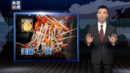 美国政治体制,美国的政体是什么？