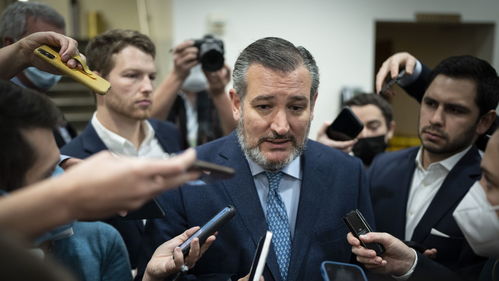 美国议员,美国的议员权力很大吗