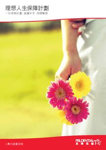 美好人生,美好人生是什么意思