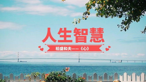 美好的人生,美好的人生该怎么定义？