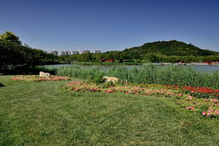 美景之家,东山岛民宿推荐10家