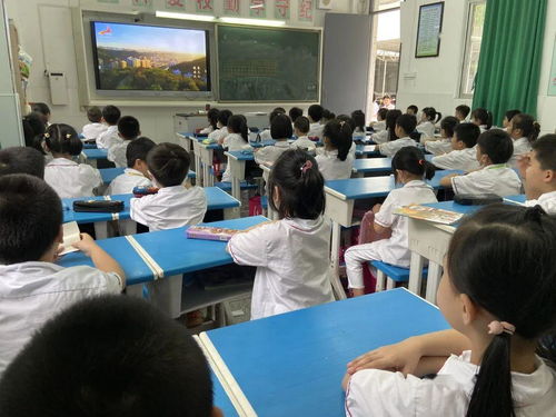 美育云课堂,怎样在电脑上看美育云课堂？↗