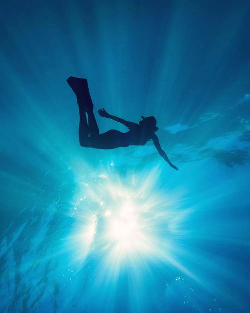 美轮美奂是什么意思,美轮美奂的意思解释是什么?