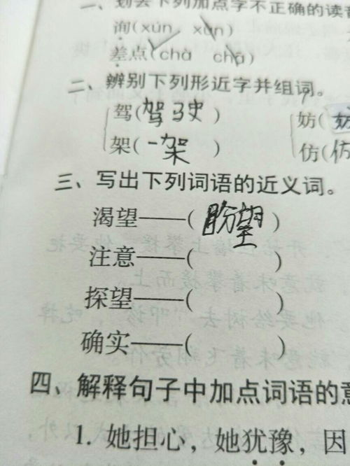 耐心的近义词是什么,耐心的近义词