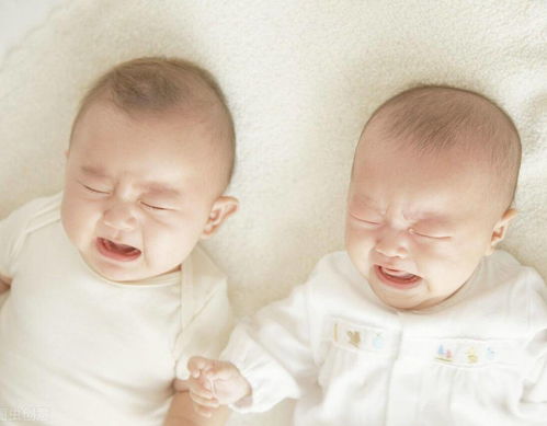 胚胎宝宝是什么意思,在孕妈的腹中，如何判断宝宝是“胚胎”还是“胎儿”？