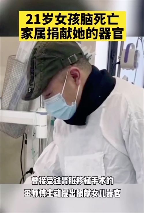 脑死亡,脑死亡名词解释