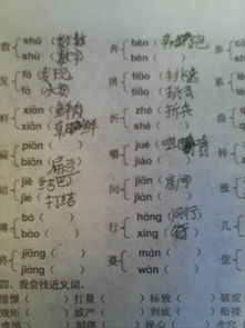 萍字组词,萍组词萍的组词