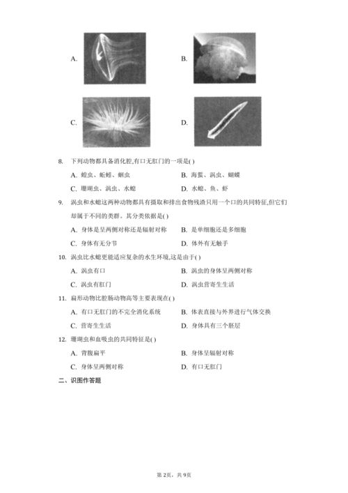 腔肠动物和扁形动物,比较腔肠动物和扁形动物的异同点