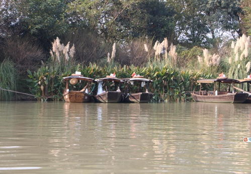 芦花丛里一扁舟,吴用给卢俊义写的诗是什么