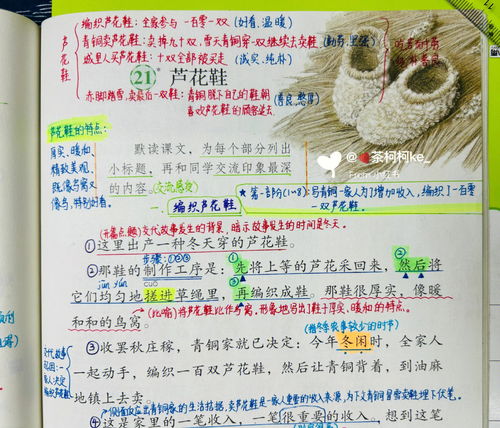 芦花鞋,芦花鞋是什么