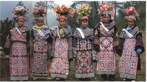 苗族简介,苗族的简介