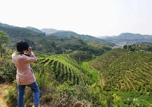 茂荆堡,尤溪茂荆堡距离尤溪县城多少公里