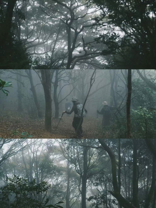 茫茫的意思,茫茫的意思是什么？