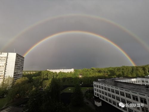 莫斯科最大规模的交通系统是什么,莫斯科最大规模的交通系统