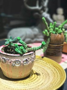 莫笑农家腊酒浑,”莫笑农家猎酒浑”是哪首诗?全句是什么?