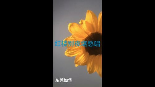 菩萨蛮 韦庄,韦庄《菩萨蛮》全诗：画船听雨眠。