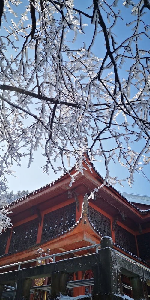 落雪时节,春庭雪歌词意思是什么？