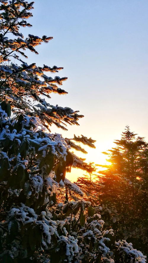落雪时节,春庭雪歌词意思是什么？