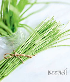 蒌蒿满地芦芽短,蒌篙满地芦芽短全诗