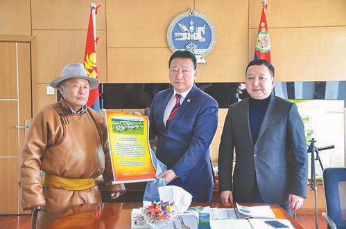蒙古捐赠的3万只羊全部入境,蒙古国捐赠羊入境