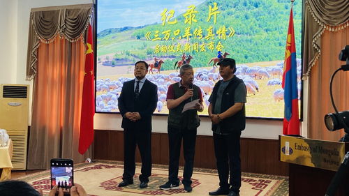 蒙古捐赠的3万只羊全部入境,蒙古国捐赠羊入境