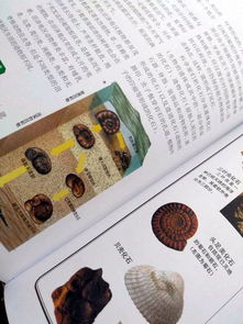 蒲福风级,什么是蒲福风等级？