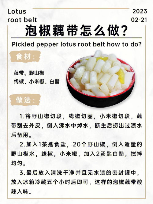 藕是莲的茎还是根,藕是荷花的根还是茎