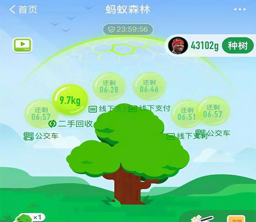 蚂蚁森林出现金色能量球,蚂蚁森林黄色能量球是什么