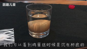 让鸡蛋浮在水面上的方法有哪些,让鸡蛋浮起来的方法有哪些